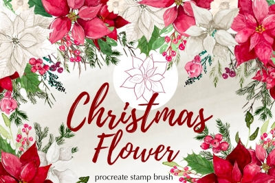 Christmas flower brushes for Procreate by Unknown Artist